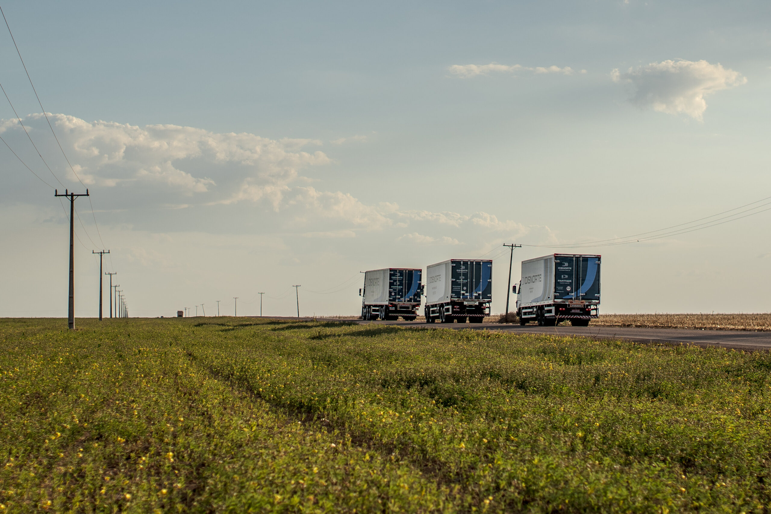 <h2>FROTA</h2>
<p><strong>CARRETAS, CAMINHÕES E VANS </strong></p>